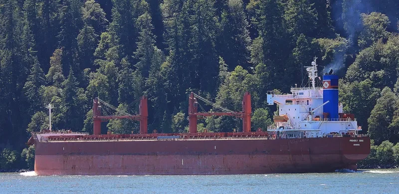 FRIENDLY SEAS Bulk Carrier IMO 9394832 photo 6