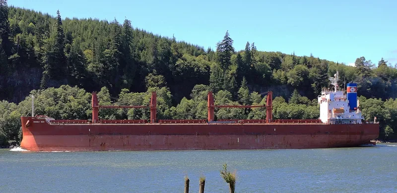 FRIENDLY SEAS Bulk Carrier IMO 9394832 photo 7