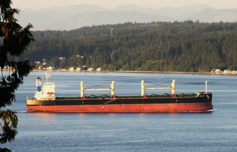 EMMANUEL C Bulk Carrier IMO 9394909 photo 4