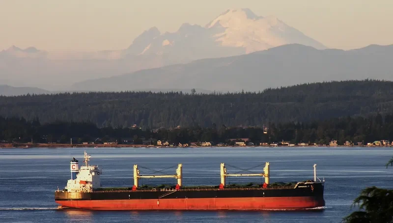 EMMANUEL C Bulk Carrier IMO 9394909 photo 5