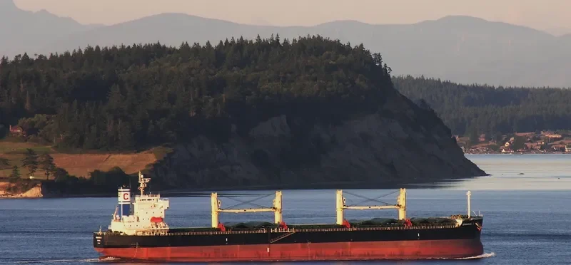 EMMANUEL C Bulk Carrier IMO 9394909 photo 6