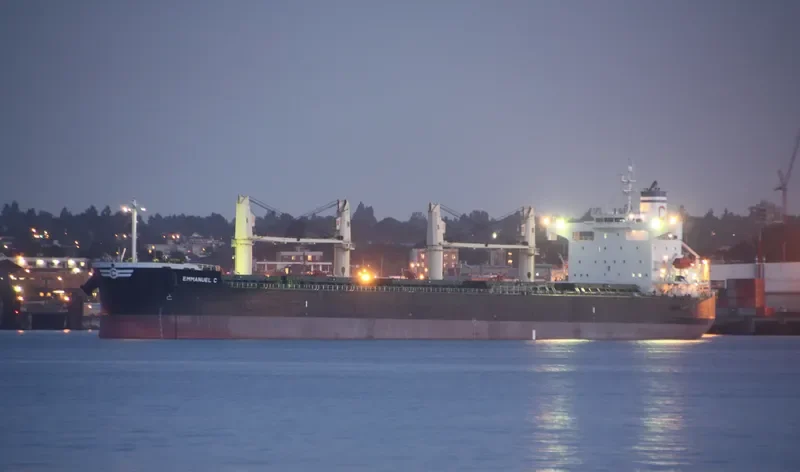 EMMANUEL C Bulk Carrier IMO 9394909 photo 10