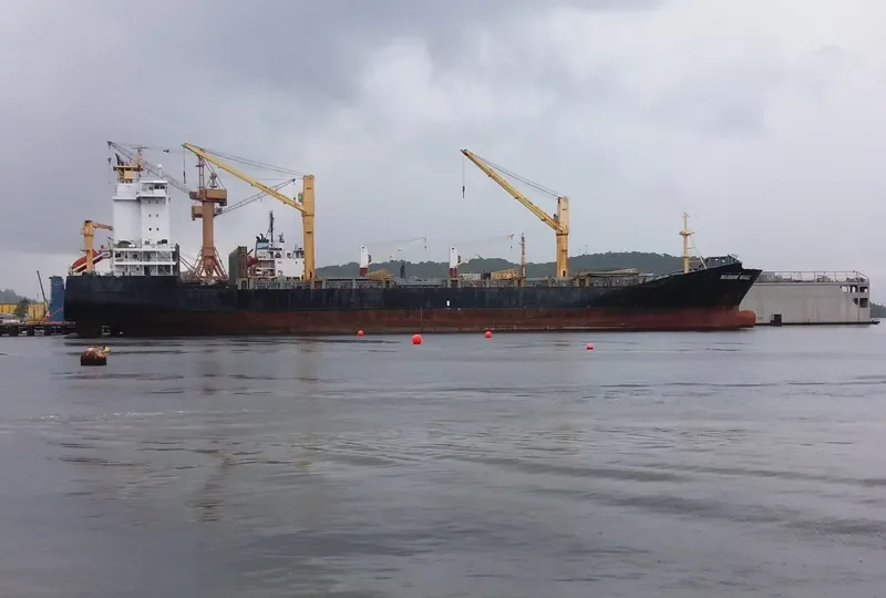 WARNOW WHALE Container Ship IMO 9395032