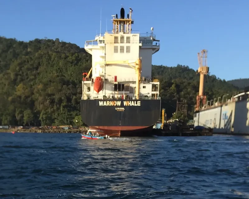 WARNOW WHALE Container Ship IMO 9395032 photo 2