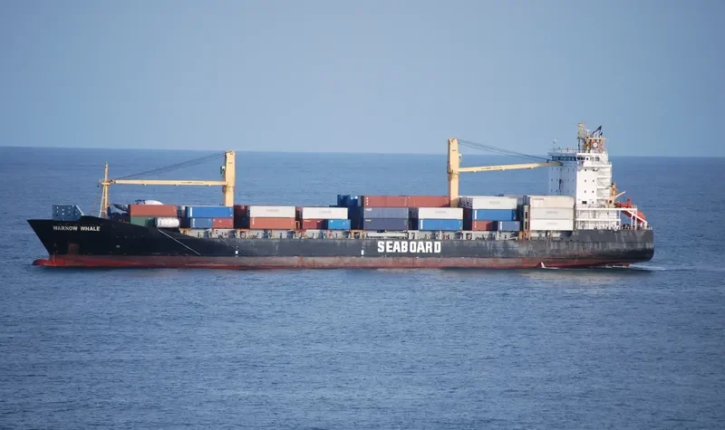WARNOW WHALE Container Ship IMO 9395032 photo 3