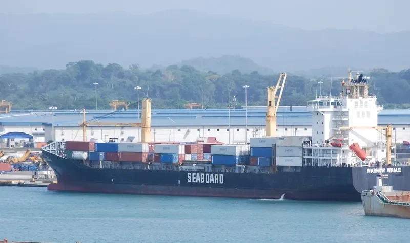 WARNOW WHALE Container Ship IMO 9395032 photo 4