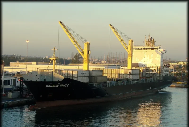 WARNOW WHALE Container Ship IMO 9395032 photo 6