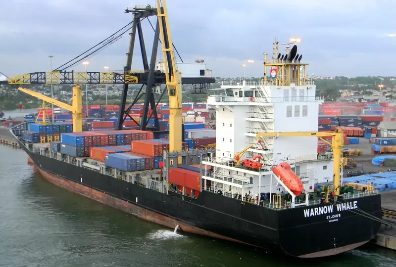 WARNOW WHALE Container Ship IMO 9395032 photo 7
