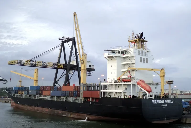 WARNOW WHALE Container Ship IMO 9395032 photo 8