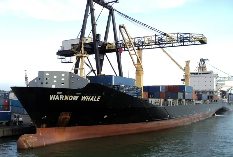 WARNOW WHALE Container Ship IMO 9395032 photo 9