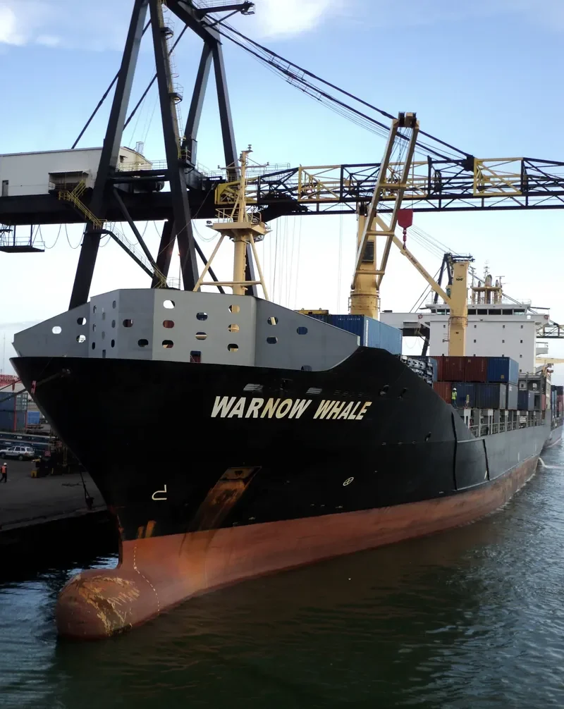 WARNOW WHALE Container Ship IMO 9395032 photo 10