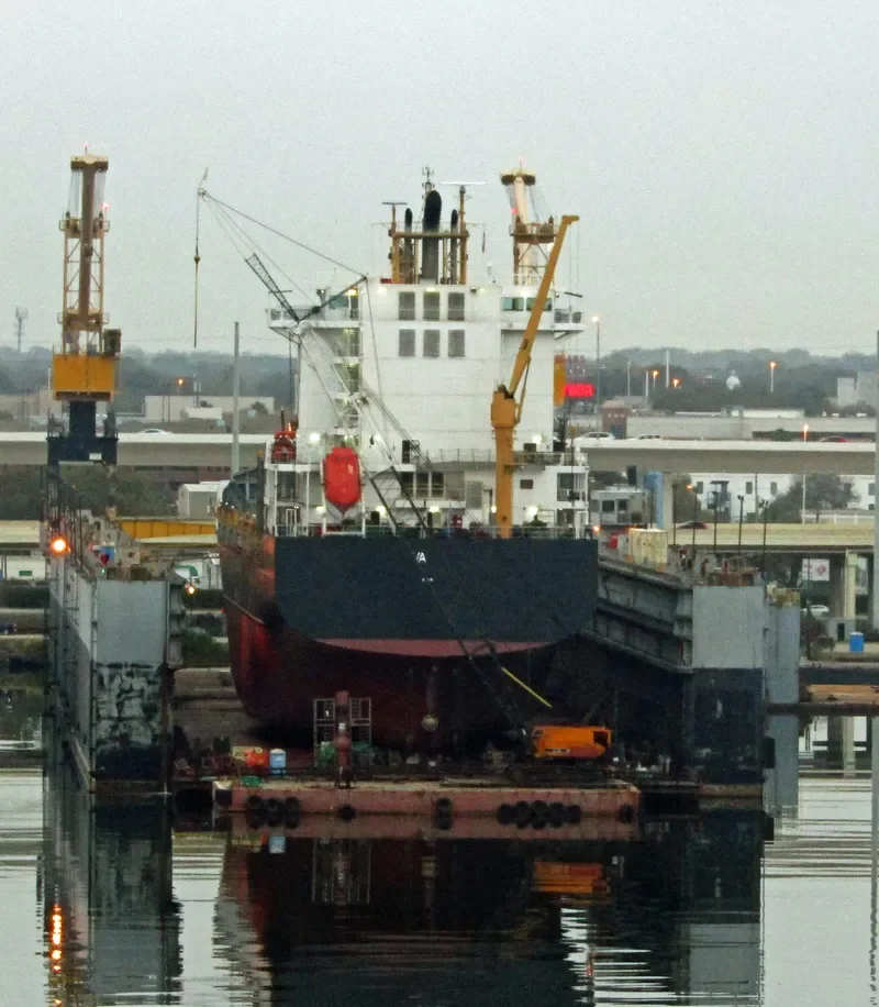 VARAMO Container Ship IMO 9395044