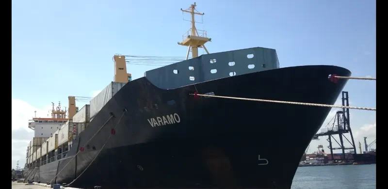 VARAMO Container Ship IMO 9395044 photo 2