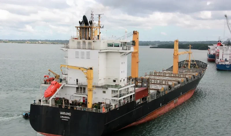 VARAMO Container Ship IMO 9395044 photo 3