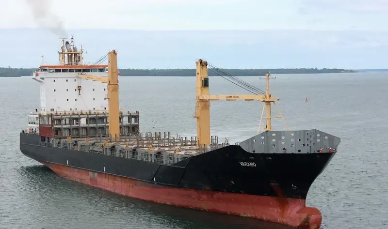VARAMO Container Ship IMO 9395044 photo 4