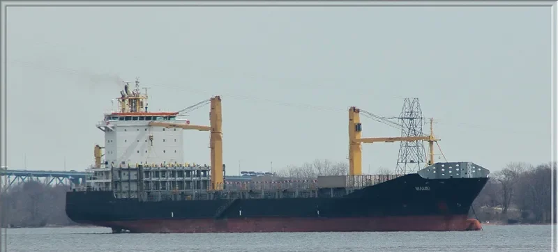 VARAMO Container Ship IMO 9395044 photo 5