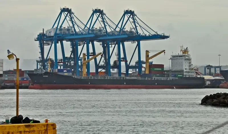 VARAMO Container Ship IMO 9395044 photo 7