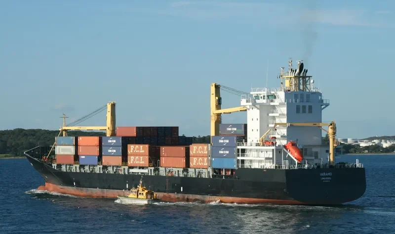 VARAMO Container Ship IMO 9395044 photo 9