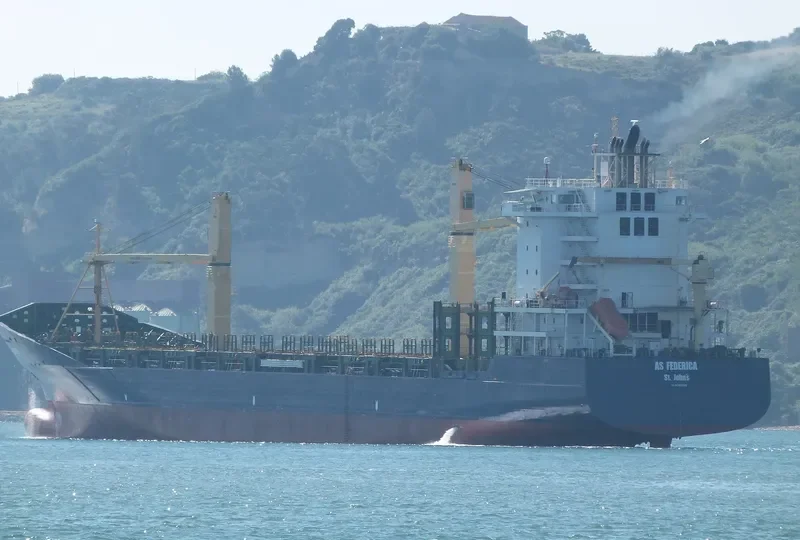 AS FEDERICA Container Ship IMO 9395068 photo 2