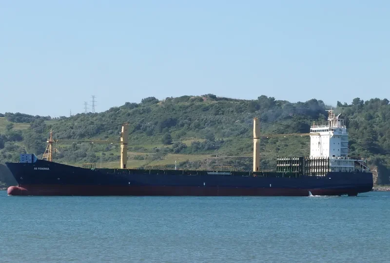AS FEDERICA Container Ship IMO 9395068 photo 3