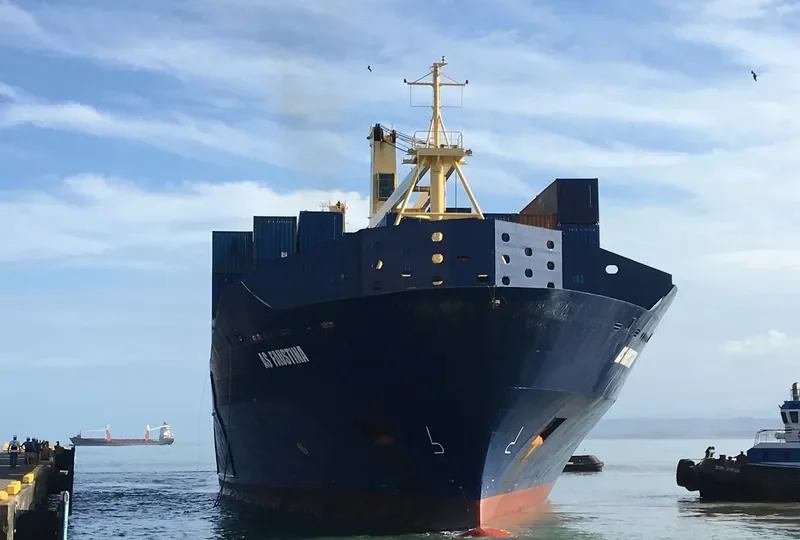 CMA CGM ARICA Container Ship IMO 9395094 photo 3