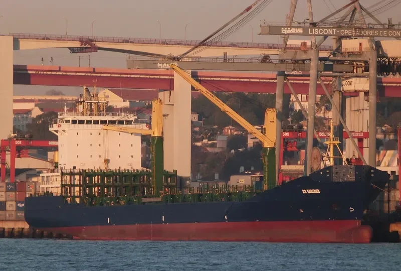 AS FABIANA Container Ship IMO 9395109 photo 10