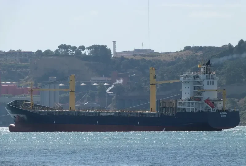 AS FIORELLA Container Ship IMO 9395111