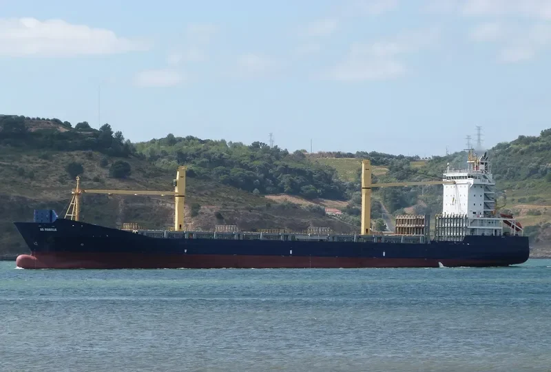 AS FIORELLA Container Ship IMO 9395111 photo 2