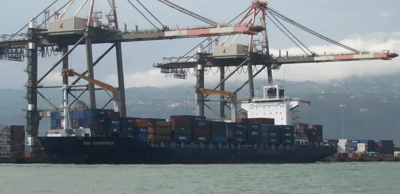 AS FIORELLA Container Ship IMO 9395111 photo 4