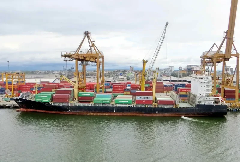 AS FIORELLA Container Ship IMO 9395111 photo 8