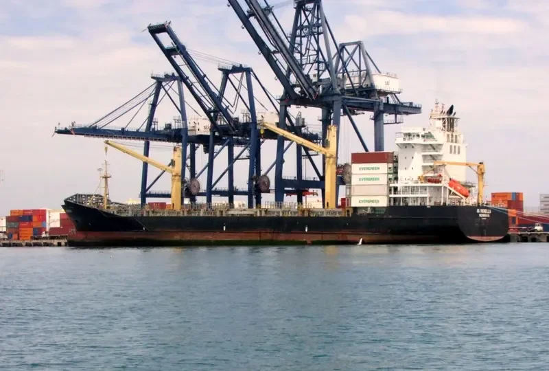 AS FIORELLA Container Ship IMO 9395111 photo 10