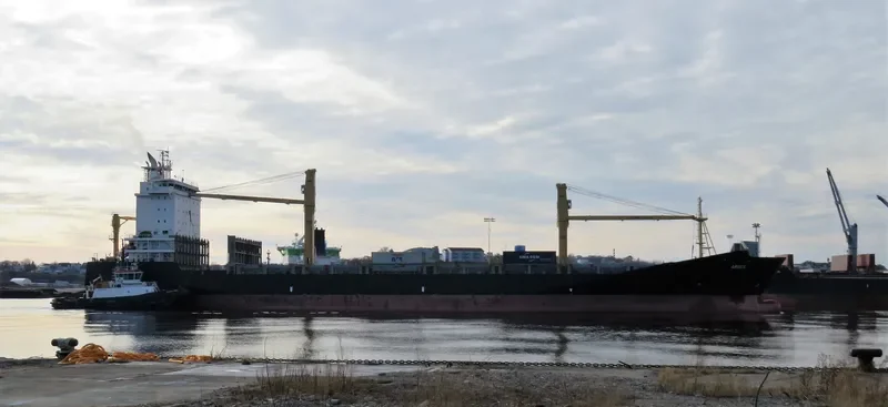 ARSOS Container Ship IMO 9395123 photo 2