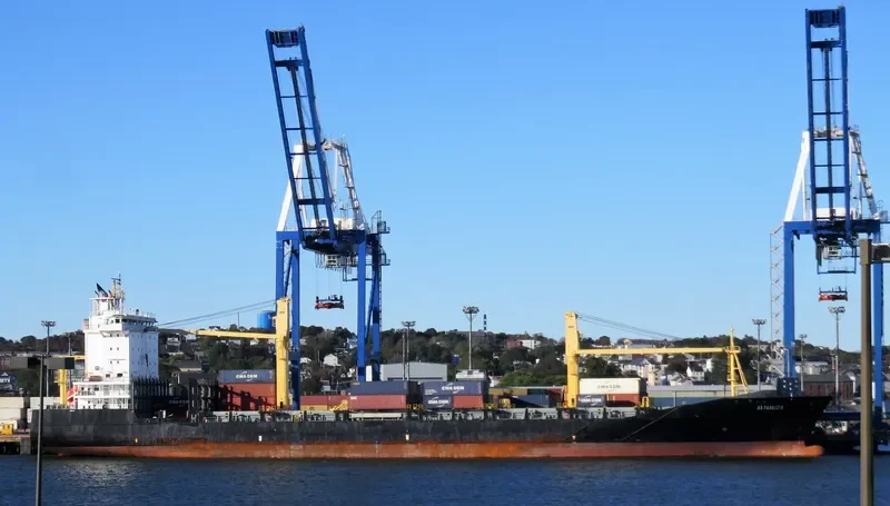 AS FABRIZIA Container Ship IMO 9395135