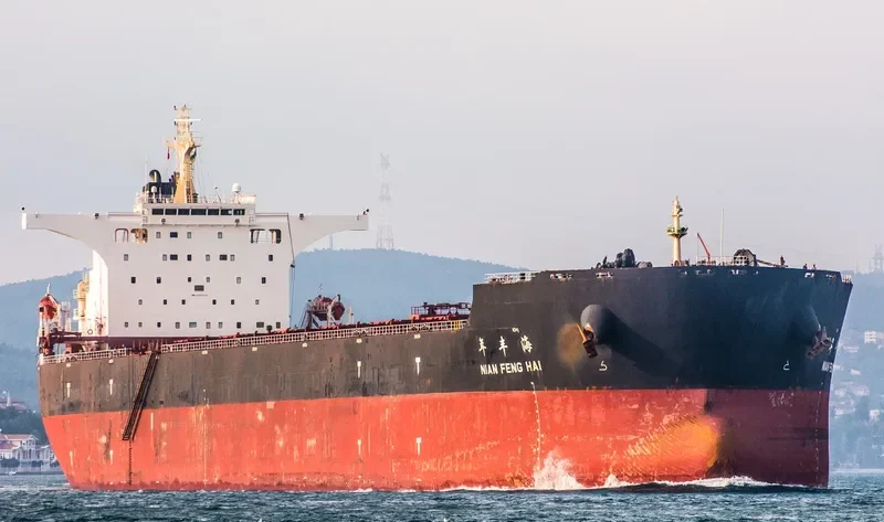 NIAN FENG HAI Bulk Carrier IMO 9395202 photo 2