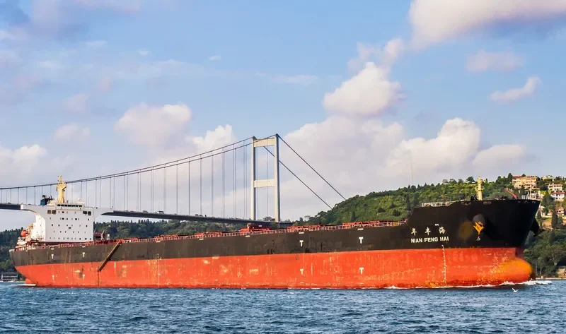 NIAN FENG HAI Bulk Carrier IMO 9395202 photo 3