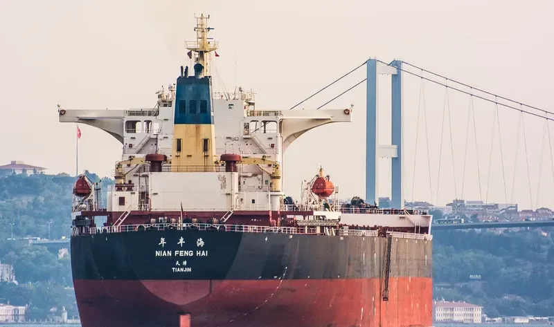 NIAN FENG HAI Bulk Carrier IMO 9395202 photo 5