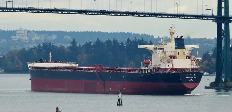 NIAN FENG HAI Bulk Carrier IMO 9395202 photo 8