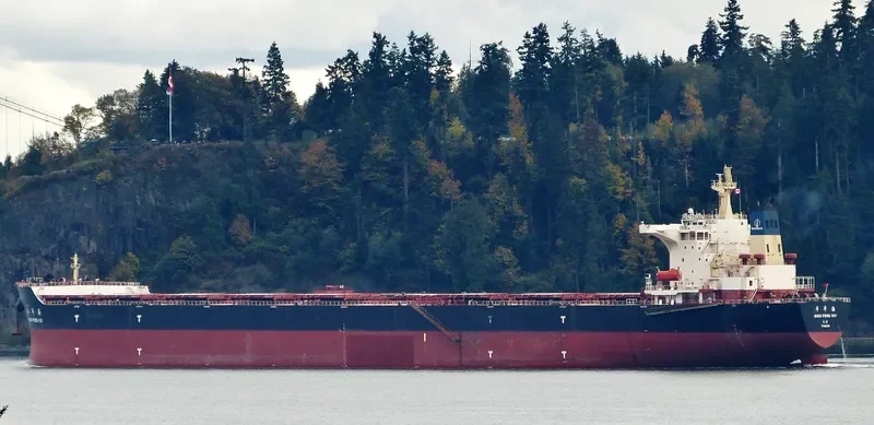 NIAN FENG HAI Bulk Carrier IMO 9395202 photo 9