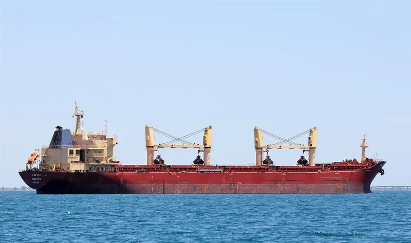 TETON Bulk Carrier IMO 9395214 photo 6
