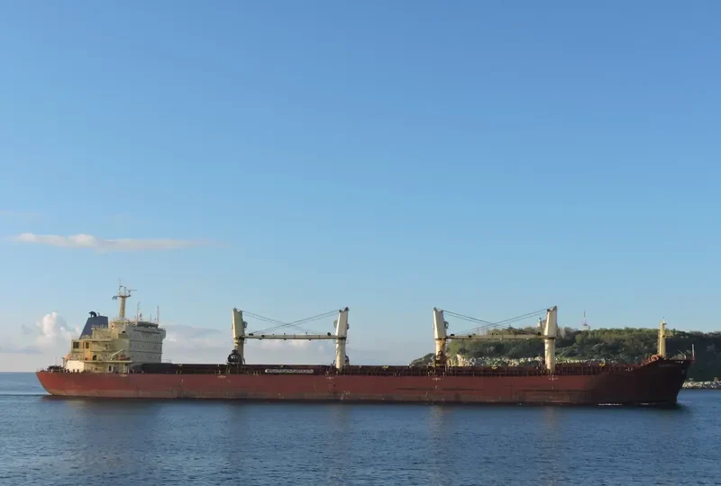 TETON Bulk Carrier IMO 9395214 photo 9