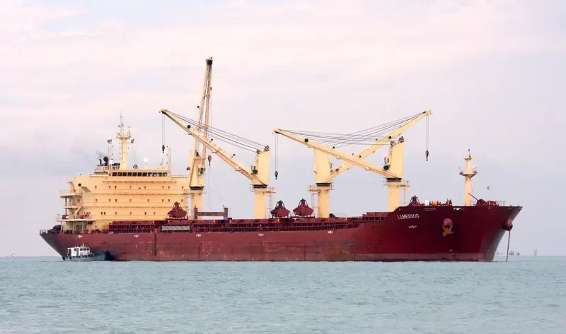 REGAL Bulk Carrier IMO 9395226 photo 2