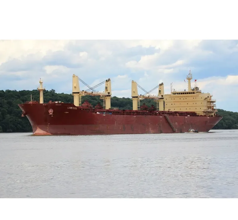 REGAL Bulk Carrier IMO 9395226 photo 3