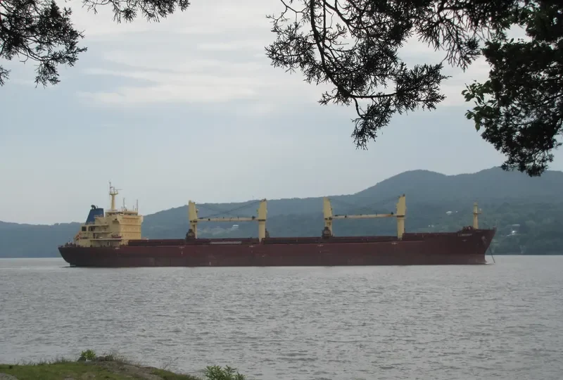 REGAL Bulk Carrier IMO 9395226 photo 5