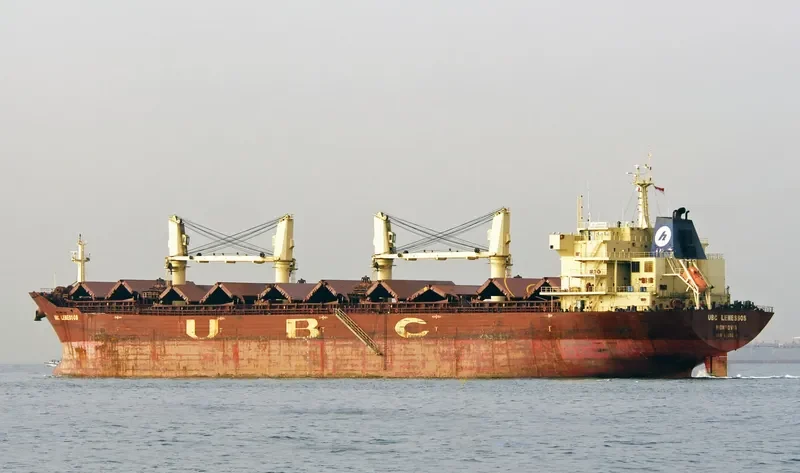 REGAL Bulk Carrier IMO 9395226 photo 9