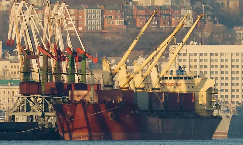 CASTLE Bulk Carrier IMO 9395238