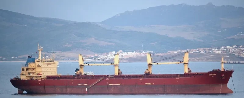 CASTLE Bulk Carrier IMO 9395238 photo 6