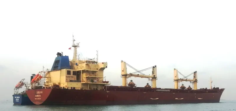 CASTLE Bulk Carrier IMO 9395238 photo 7