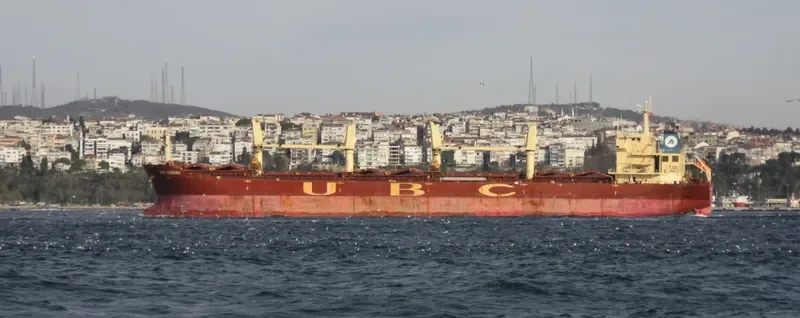 CASTLE Bulk Carrier IMO 9395238 photo 8