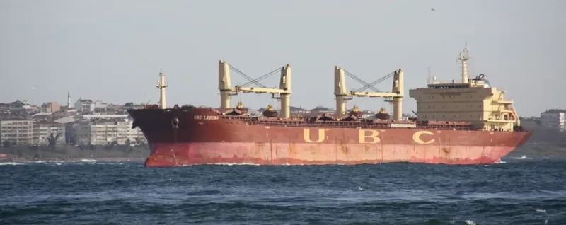 CASTLE Bulk Carrier IMO 9395238 photo 9
