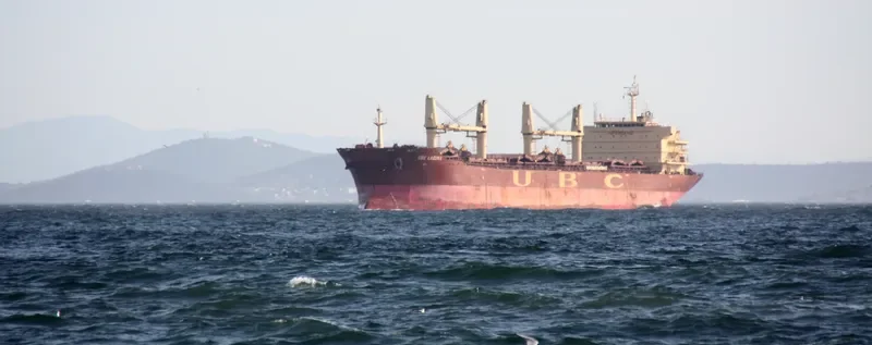 CASTLE Bulk Carrier IMO 9395238 photo 10